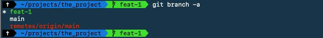 Git branch -a
