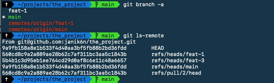 List git branches and remote branches